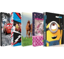 Vihikumapp, A5, kummiga, assortii