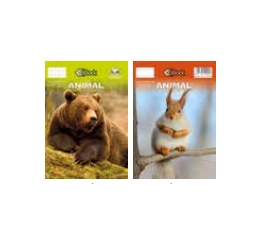 Spiraalmärkmik COLOROSA A6 ,70 lehte ruut/joon, erinevad loomadisainid