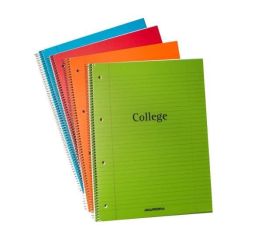 College plokk A4 plastkaanega 4 auku 80 lehte