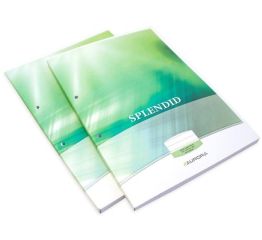 Rõngasmapipaber A 4 100 lehte