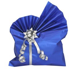 Fooliumkott sinine-matt 20x35