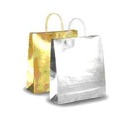 Sangadega kott hõbedane 36x12x41