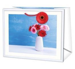 Sangadega kott 33x13,7x26,7 GERBERA